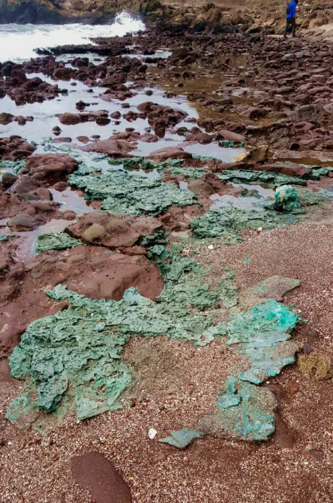 Quando o plástico vira pedra: a Ilha da Trindade revela a realidade angustiante da poluição dos oceanos