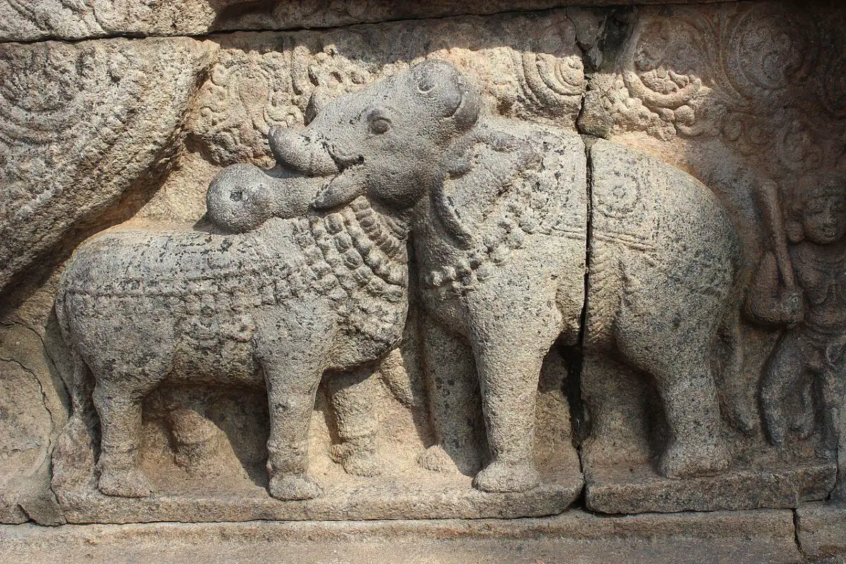 É touro sagrado ou elefante?: A dança mística da ilusão no antigo templo na Índia